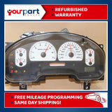 06 Ford F-150 F-250 Cluster 6L34-10849-YD